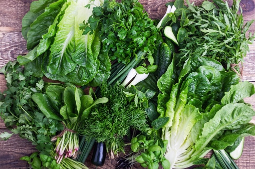 Fresh organic homegrown herbs and leaf vegetables background. Arugula, romaine lettuce,dill, parsley,  cilantro, green onion,basil, cucumber and spinach bunches on wooden background viewed from above