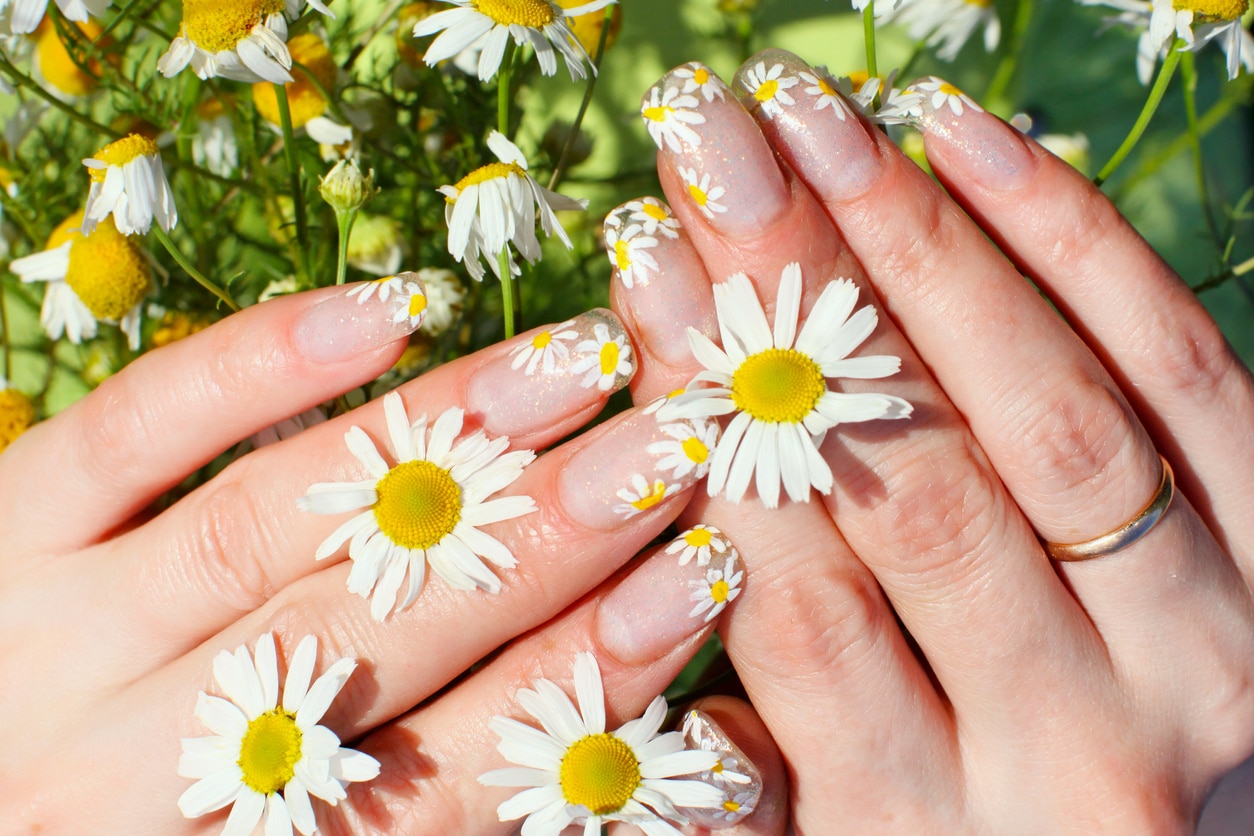 Beautiful nail design. Woman hands with camomile flowers, nail art design ideas for spring & Valentine’s Day