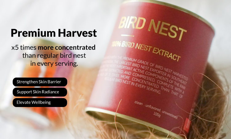 2-Bird-Nest.jpg