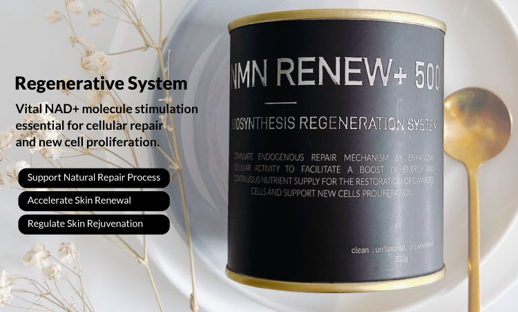 4-NMN-Renew.jpg