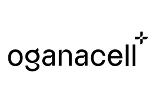 530x350 ogana.jpg image