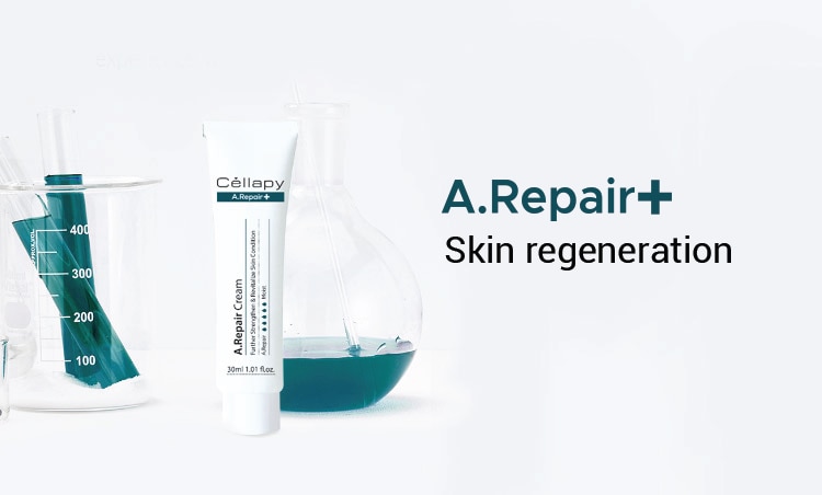 750x452_Range_banner_MY_A.Repair+.jpg