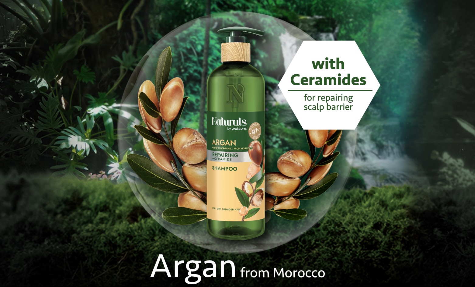 Argan Thumbnail-01.jpg