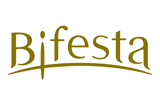 Bifesta-Logo---530x350mm.jpg