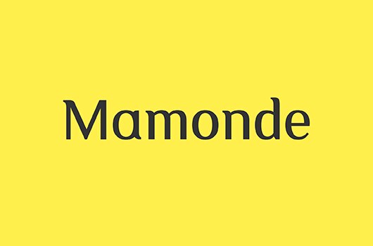 Brand story logo-(APP)-530X350.jpg