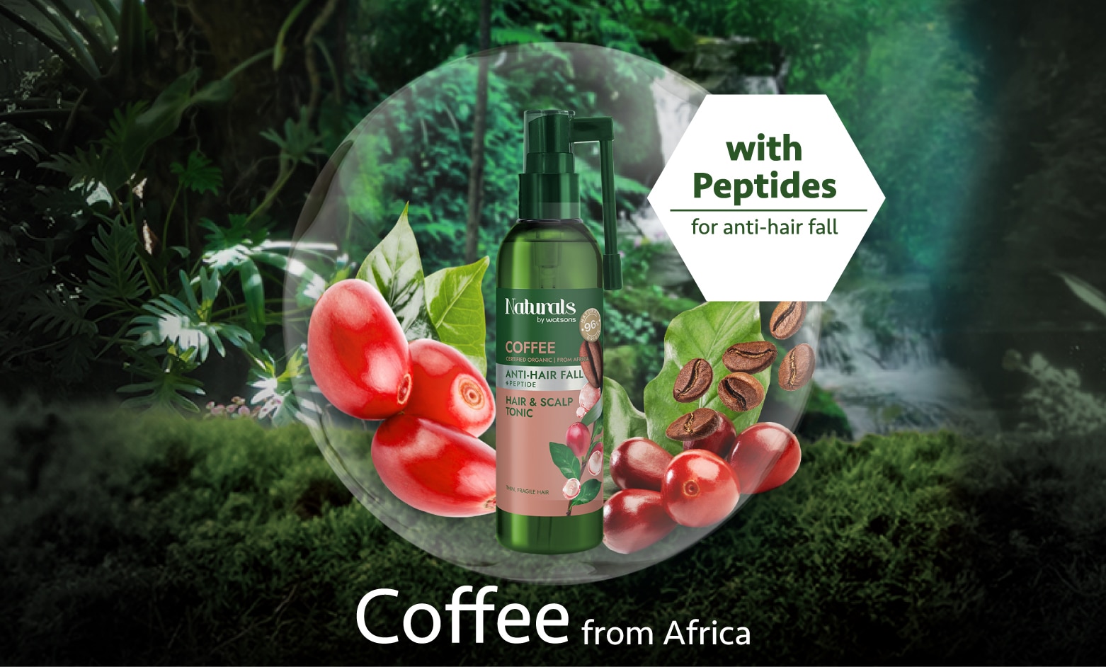 Coffee Thumbnail-01.jpg