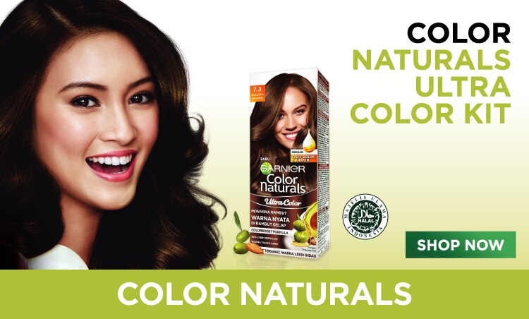 Garnier SIS_Range Banner 1-06.jpg