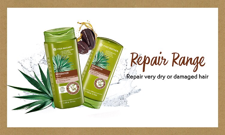 HairCareProduct_16-Dec_Repair.jpg