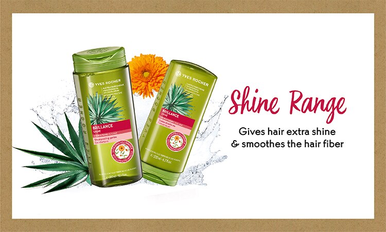 HairCareProduct_16-Dec_Shine.jpg