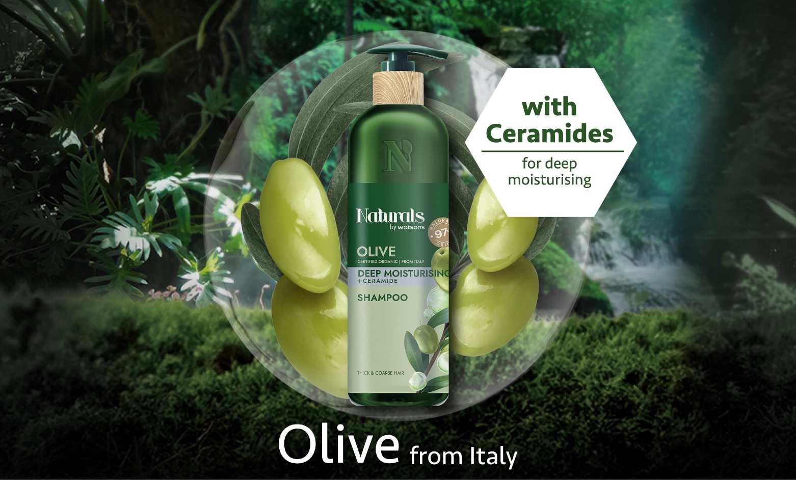 Olive Thumbnail-01.jpg