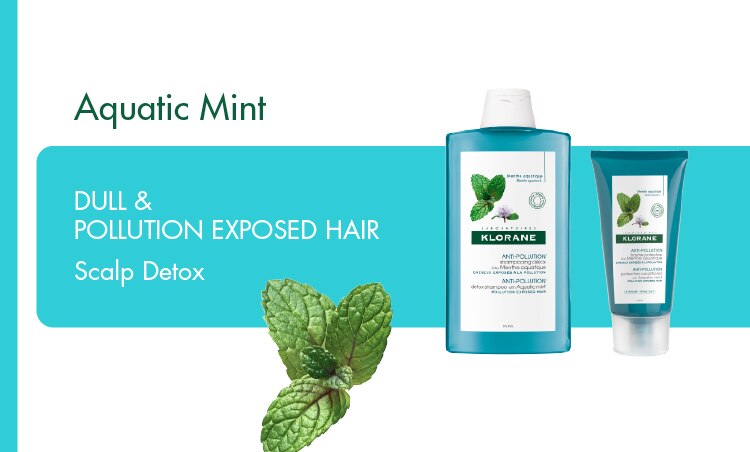 Product Range-Aquatic-Mint.jpg