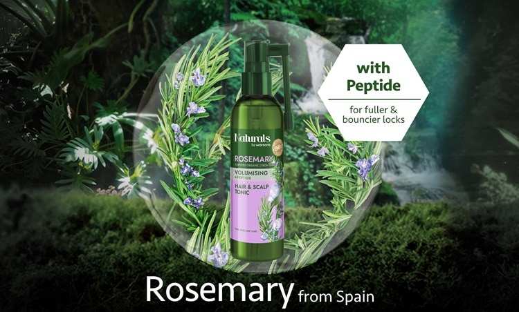 Rosemary Thumbnail-01.jpg