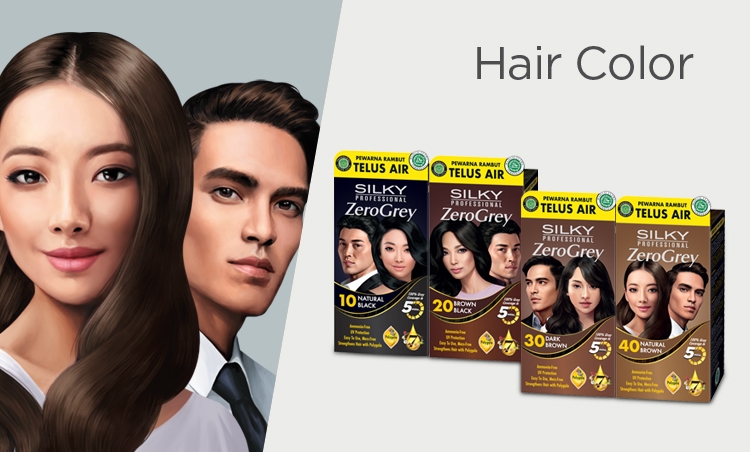 SG HAIRCOLOR Range Banner_750x452.jpg