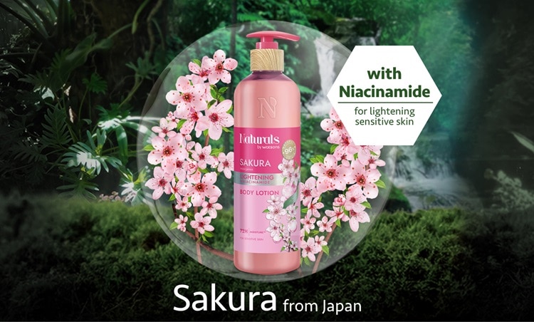 Sakura Thumbnail-01.jpg