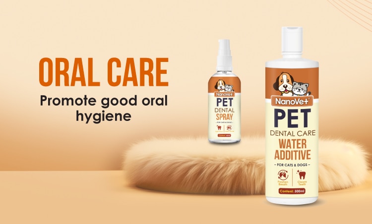 Watson-Category-Products (Oral Care).jpg