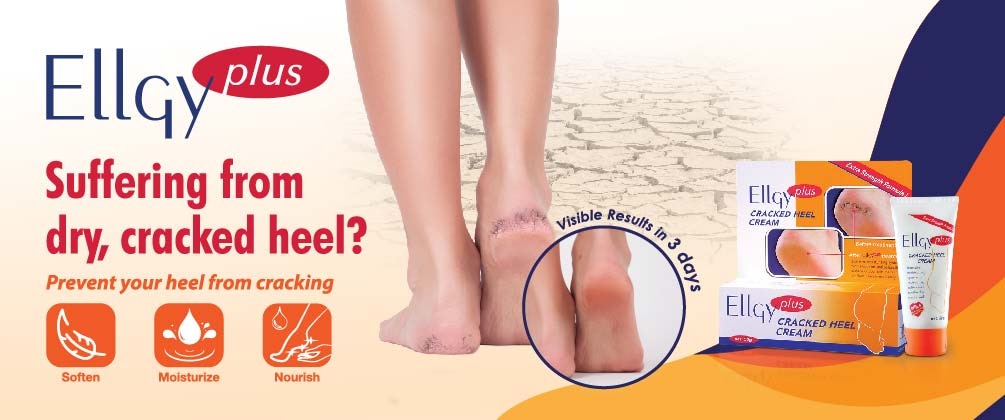 ellgy plus banner-04.jpg