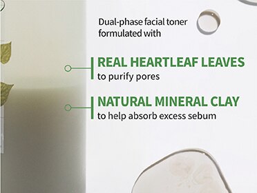 landing page-pore-blems-OL-05.jpg